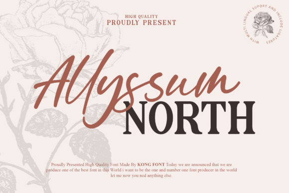 Allyssum North: A Playful Font for Editorial Design
