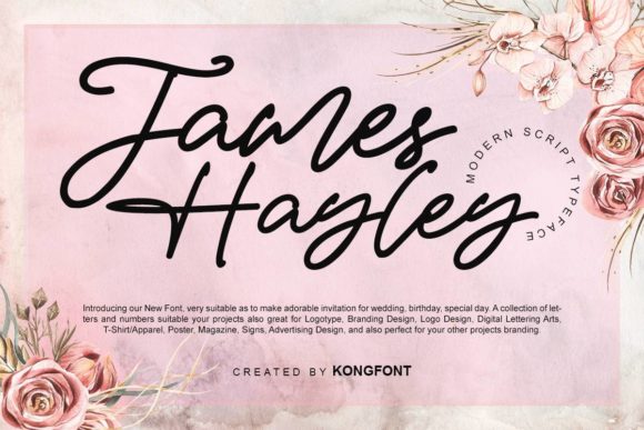James Hayley: A Playful Script for Web Design