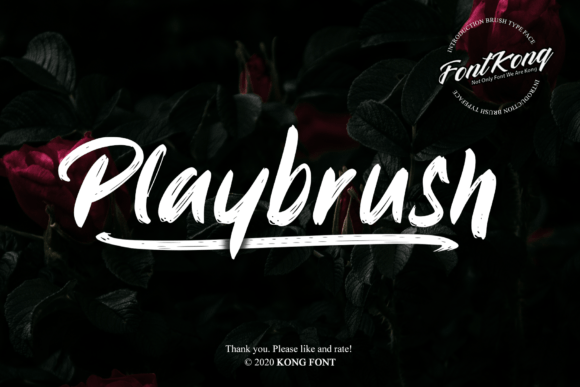 Playbrush Font for Web Design