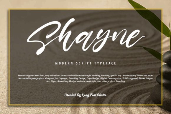 Shayne: A Playful Font for Creative Campaigns